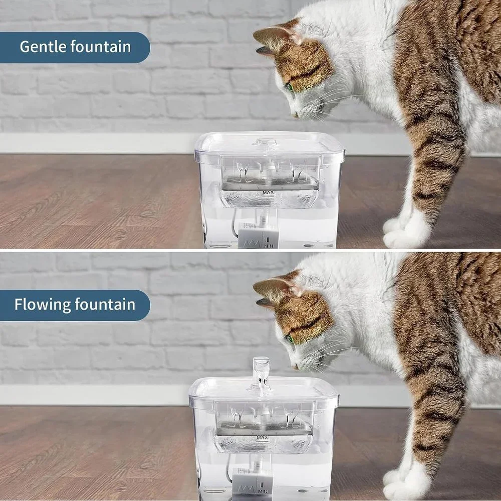 N/A cat water